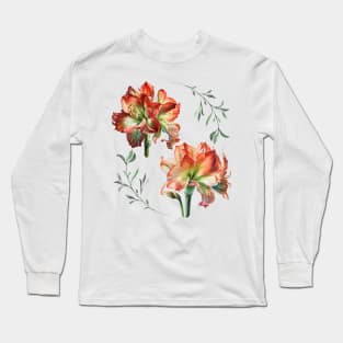 Amaryllis Blooms Long Sleeve T-Shirt